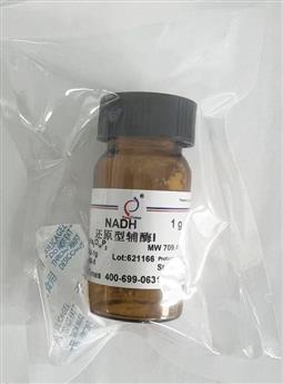 NADH 还原型辅酶I