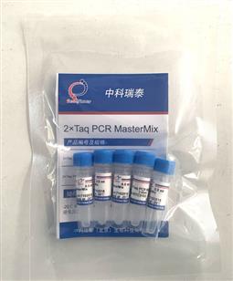 2×Taq PCR MasterMix 不含染料
