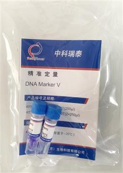 DNA Marker V（200-2000bp）