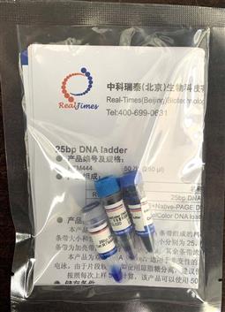 25bp DNA ladder（25-500bp）