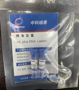 1kb plus DNA ladder（300-10000bp）