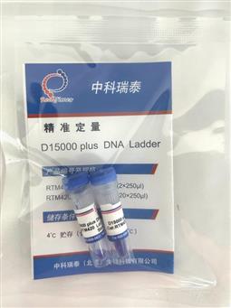 D15000 plus DNA ladder（250-15000bp）