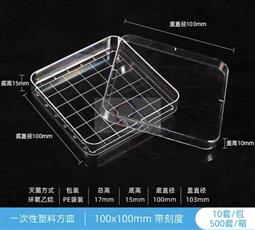 塑料方形培养皿 10×10cm 带分格线