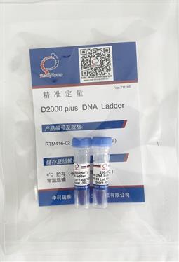 D2000 plus DNA ladder（100-5000bp）