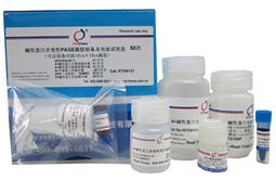 碱性蛋白非变性PAGE凝胶制备及电泳试剂盒