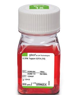 胰酶细胞消化液（0.25%胰酶，含EDTA，含酚红）Gibco