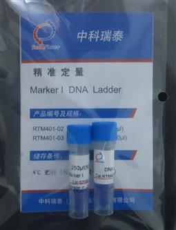 DNA Marker I（100-600bp）