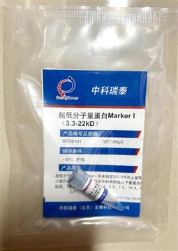 超低分子量蛋白Marker I（3.3-22KD）