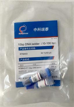 10bp DNA ladder（10-100 bp）