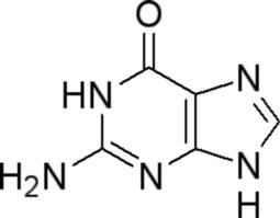 Guanine 鸟嘌呤