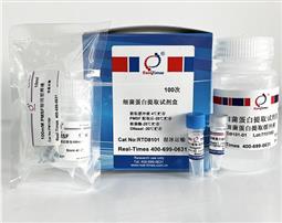 细菌蛋白提取试剂盒
