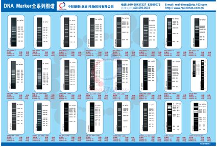 dna marker 图谱