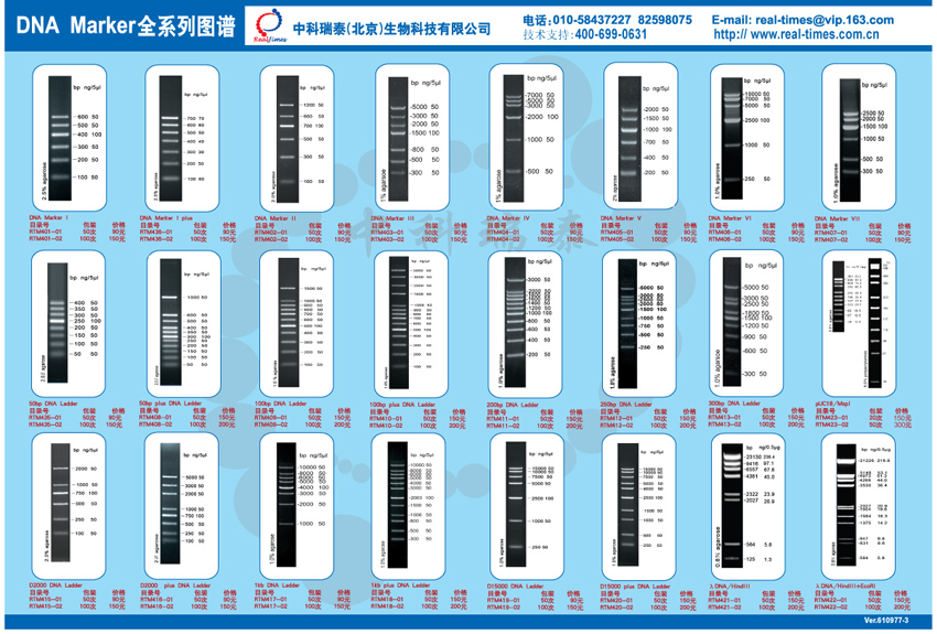 dna marker 图谱